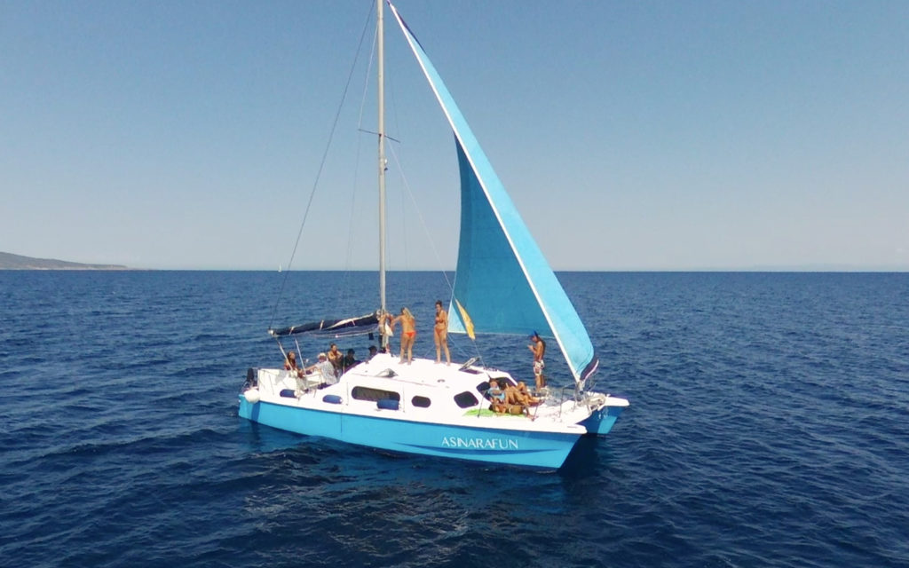 escursione in catamarano all'asinara